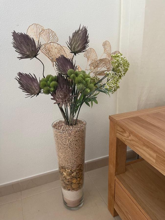Apartment Lucy Hacienda Riquelme Golf Resort ムルシア エクステリア 写真